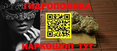 эйфоретик Кимры