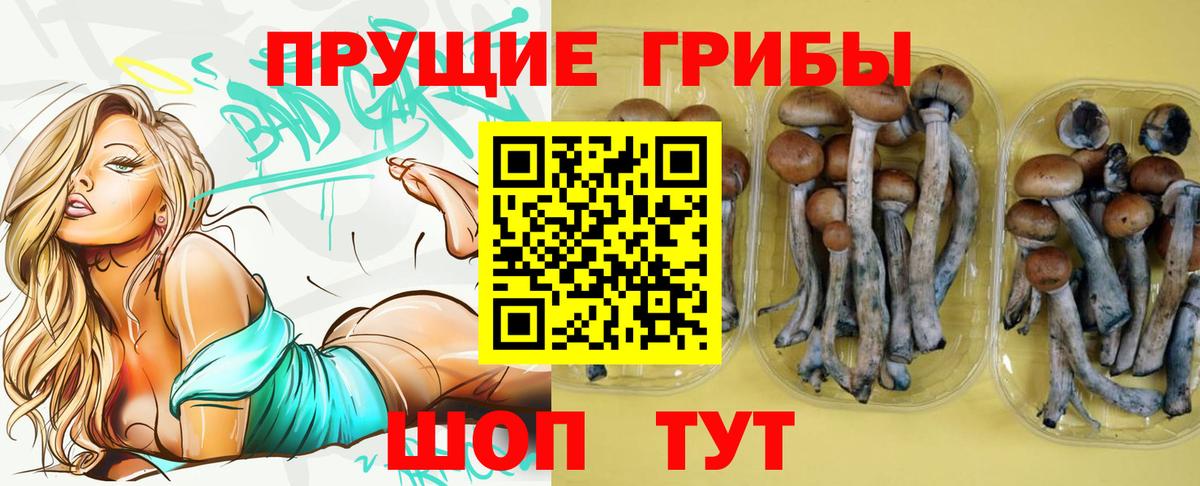 Псилоцибиновые грибы прущие грибы Бутурлиновка